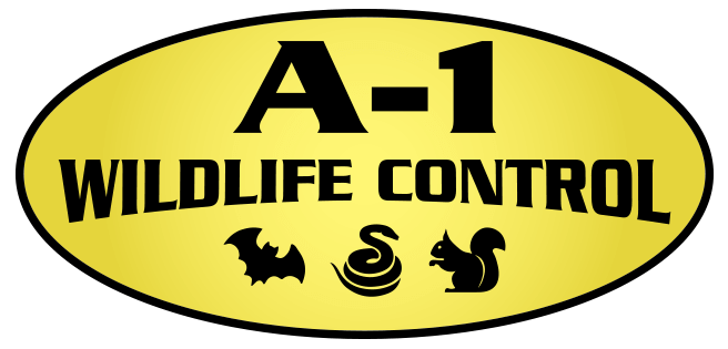 A-1 Wildlife Control