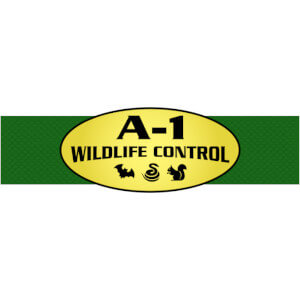 A-1 Wildlife Control